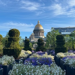 Ольга Артамонова, Санкт-Петербург