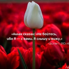 Хава Маг, 36 лет, Грозный
