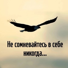 Blue Scout, 38 лет