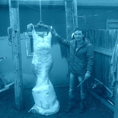 Стас Токтобаев, 33 года, Омск