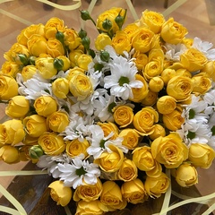 Лиза Газикова