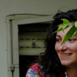 Оля Эльшанская, 37 лет, Тель-Авив