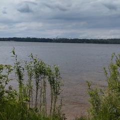 Ольга Шакурова, 41 год, Санкт-Петербург