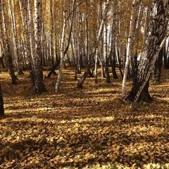 Андрей Юферев, Екатеринбург