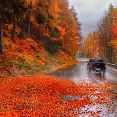 Александр Баранов, Вохма