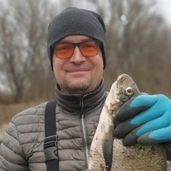 Роман Никитин, 48 лет, Москва