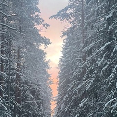 Олеся Кобылинская, Санкт-Петербург