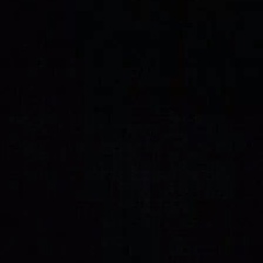 Олеся Миджин, Львов