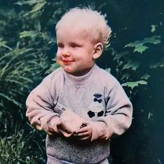 Алексей Левчонок, 38 лет, Сиверский