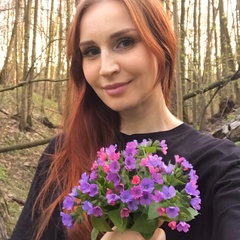 Фея Лесная, Жуковский