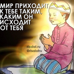 Ильнар Мингазов, 38 лет, Сочи