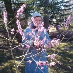 Любовь Золотарева, 67 лет, Санкт-Петербург