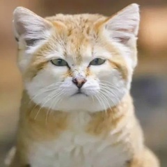 Юрий Игнатьев, 52 года, Москва