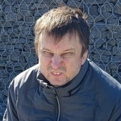 Антон Дворецкий, 45 лет, Великий Новгород