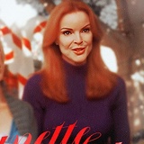 Bree Van De Kamp