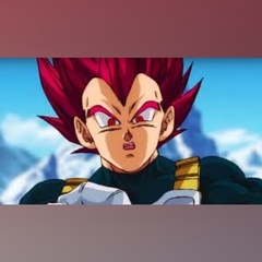 Vegeta Super, 17 лет