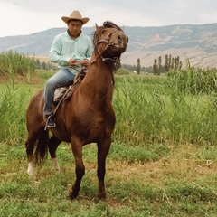 Камчы Жолдошбаев, Ош