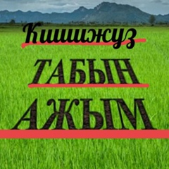 Жумабек Кенесбаев, 38 лет, Актау