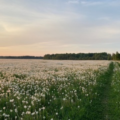 Михаил Фарафонов, Москва