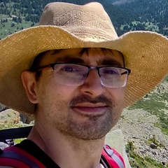 Дмитрий Безбородов, 43 года, Барнаул