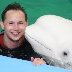 Пращур Кирилий, 36 лет, Санкт-Петербург