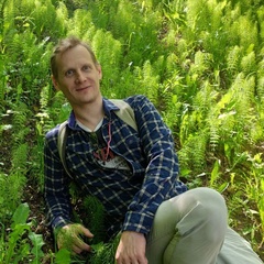 Александр Хлынов, 38 лет, Москва