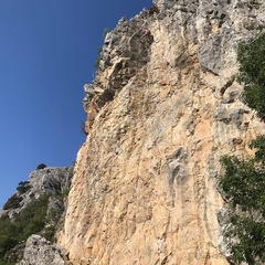 Аристарх-Никифорович Крузенштерн, Ялта