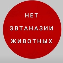 Ирина Крощенко, 51 год, Великие Луки