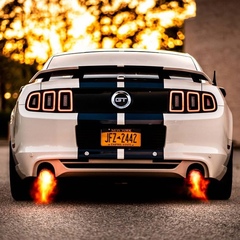 Ford Mustang, 60 лет, Boston