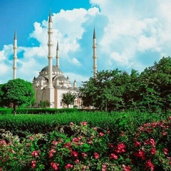 Madina Hasbulatova, 32 года, Грозный