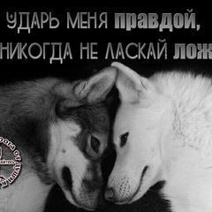 Арсен Секрет
