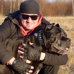 Роман Тимофеев, 51 год, Санкт-Петербург
