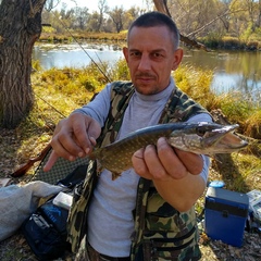 Сергей Сдержиков, Барнаул