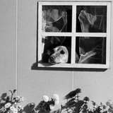 Сферическое Неосознанное, 108 лет, Jena