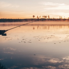 Егор Скрипка