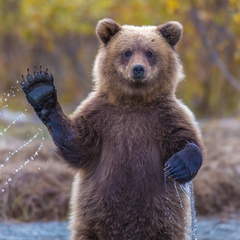 Исмаил Бакинский, Баку