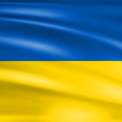 Егор Подколзин, Киев
