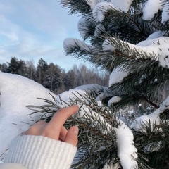 Надежда Коротаева, Тарногский Городок