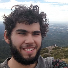 Mateus Luciani, 28 лет, Curitiba