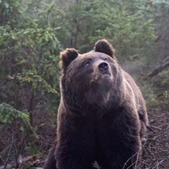 Айдар Каржаспеков