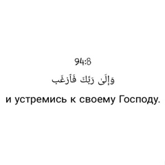 Зелимхан Бехоев, 27 лет, Москва