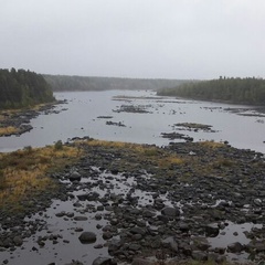 Александр Бек