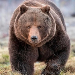 Василий Белоглазов, 41 год