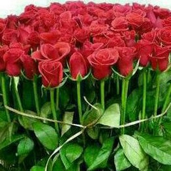 Сагыныш Сабыр, 46 лет, Алматы
