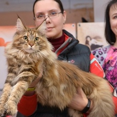 Светлана Артамонова, Астрахань