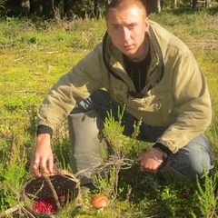 Михаил Щеглов, 35 лет, Красногорск