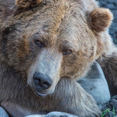 Андрей Ходин, 44 года, Санкт-Петербург