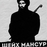 Ильман Чермоев, 29 лет, Махкеты