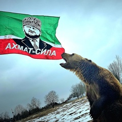 Сулейман Велиев