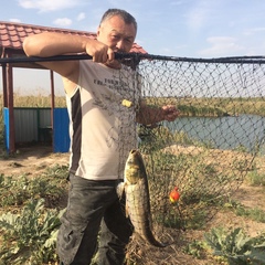 Azik Nasirov, 53 года, Алматы